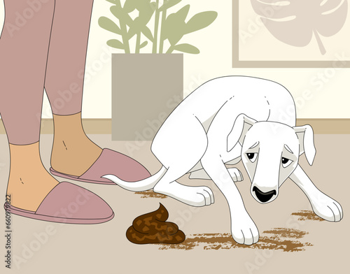 The dog defecated at home. Dog stool incontinence. Pet problems. Pet diseases. Vector illustration. 