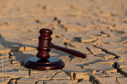 Fotografija A judge's gavel on heat-cracked clay in the desert