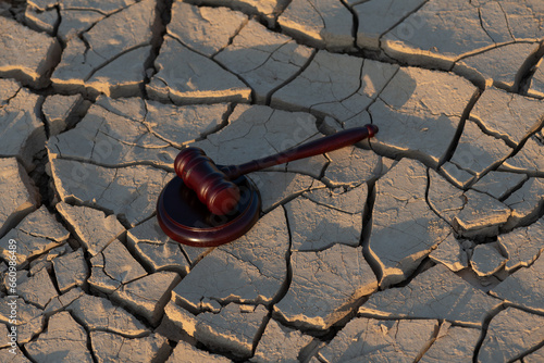 Fotografie A judge's gavel on heat-cracked clay in the desert