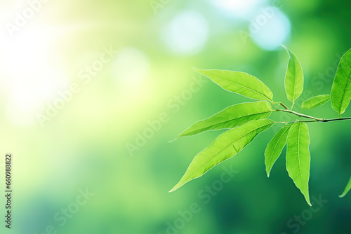 Close-up of a green leaf, blurred background © NEXTUZ