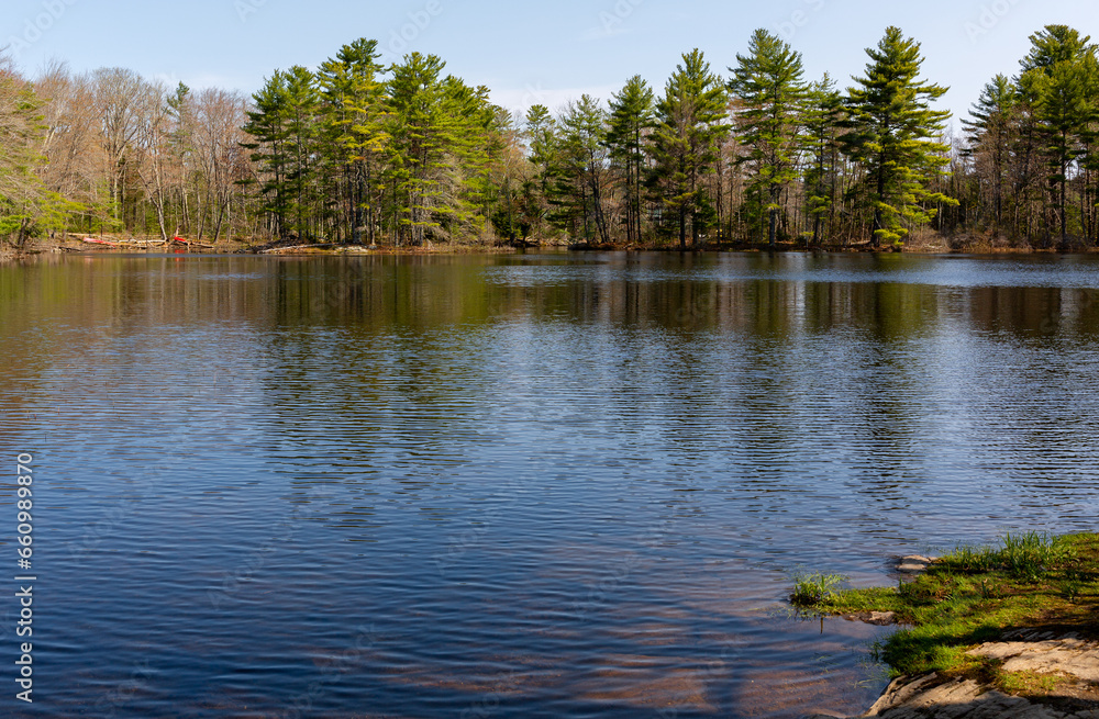 Quiet shoreline of Pitcher Pond in Maine in the springtime. Stock Photo