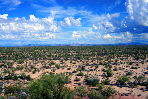 Sonora Desert Arizona photo