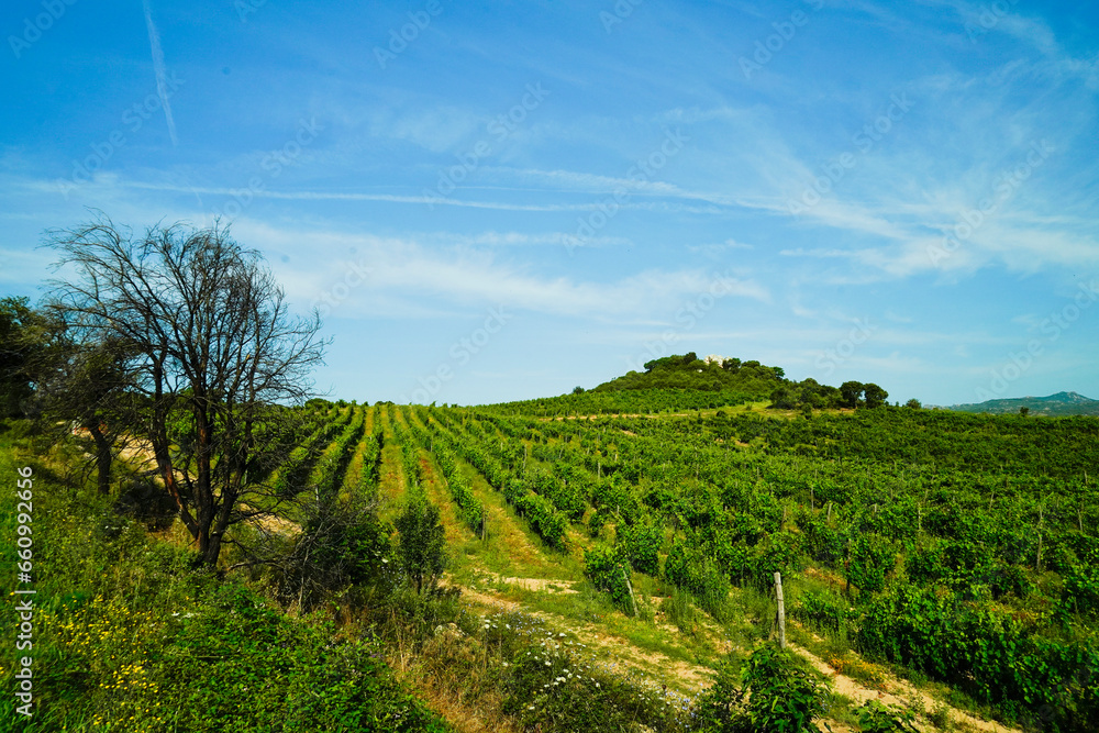 Naklejka premium Tipico panorama dell'entroterra sardo. Sardegna, Italia