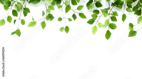 green leaves background | generative ai