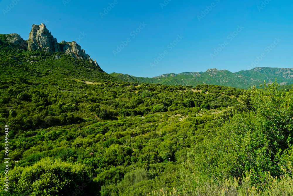 Tipico panorama dell'entroterra sardo. Sardegna, Italia