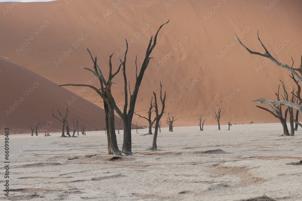 Scenic view of Sossusvlei in Namibia, Africa