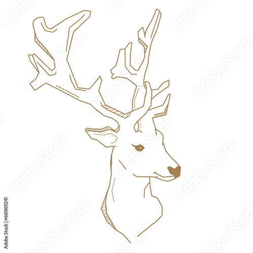 deer