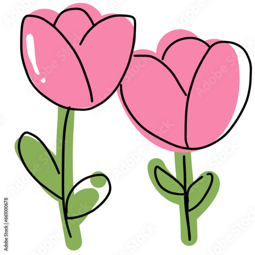 pink tulips