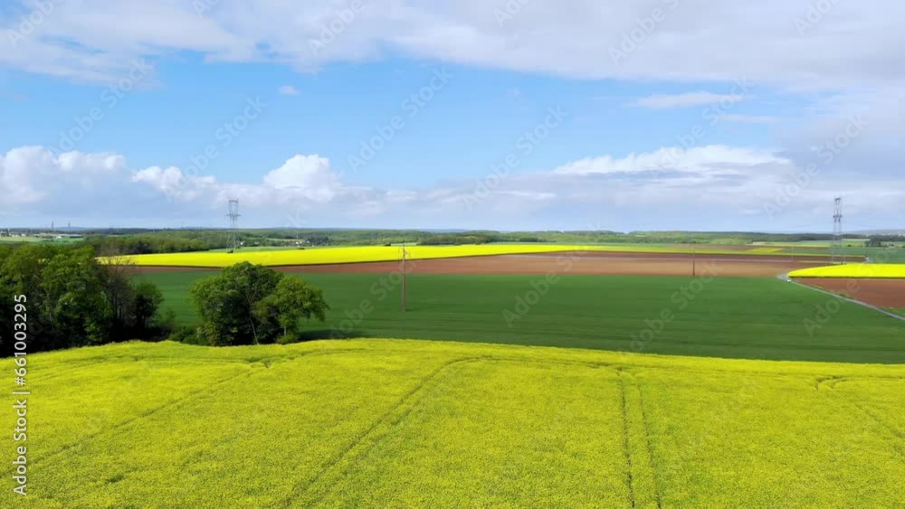 Aerial drone view of yellow rapeseed fields in Ile-de-France, France Aerial drone view of yellow rapeseed fields in Ile-de-France, France