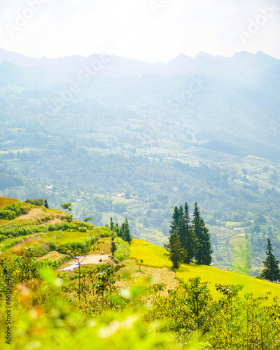 Scnenic view in Suoi Thau meadow, Xin Man, Ha Giang, Vietnam photo