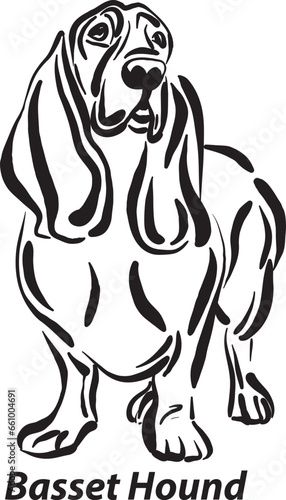 black and white dogs Basset Hound breed design line art most popular brush stroke freehand draw vector illustration