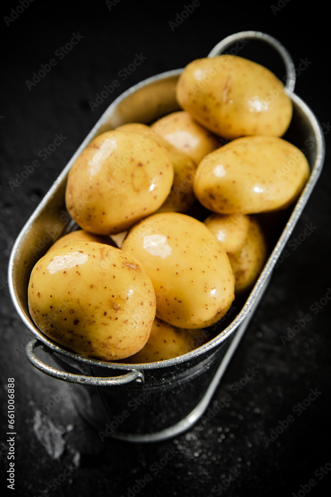 Fresh potatoes. On black background. Fresh potatoes. On black background.