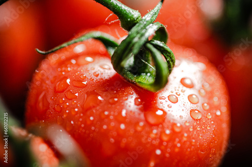 Fresh tomatoes macro. © Artem Shadrin