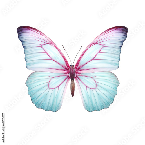 Pastel colored butterfly on transparent background © Nazmus