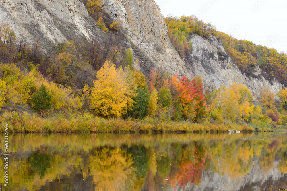 autumn landscape river and forest cloudy day