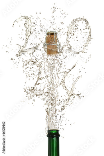 Photography Silvester 407