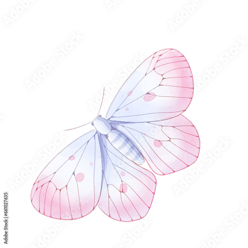 watercolor butterfly png transparent background.