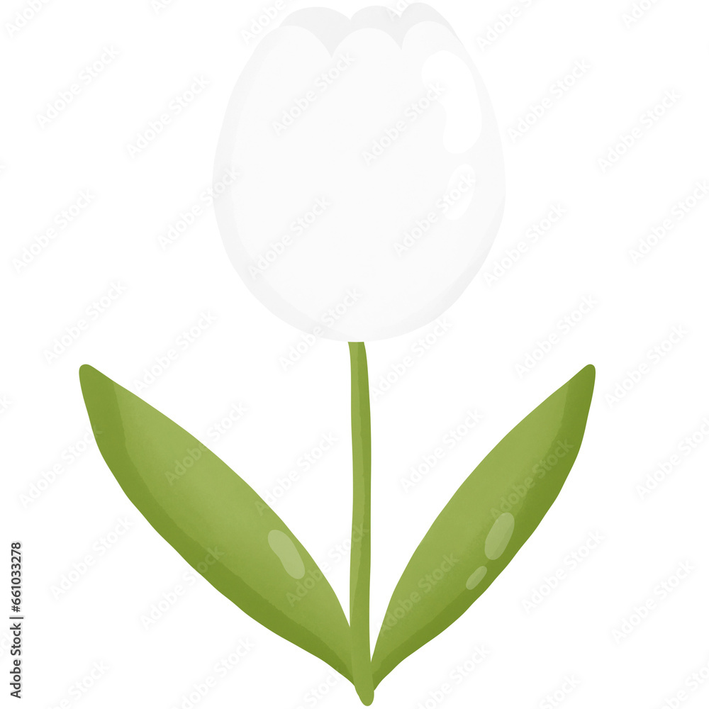 Obraz premium Tulip 
