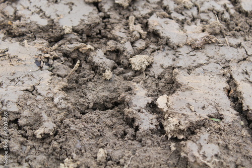 Wallpaper Mural soil background Torontodigital.ca