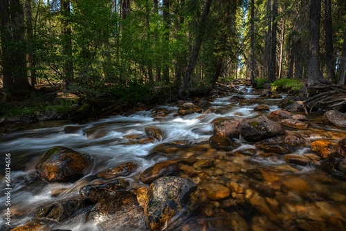 the river flows through a rocky stream among tall trees and rocks
