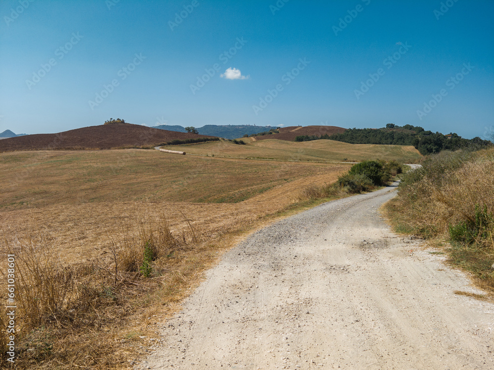 Fototapeta premium Rural countryside landscape of Tuscany hills. The Tuscany region is characterized by the cultivation of wheat, olives, vineyards and cypress passages.