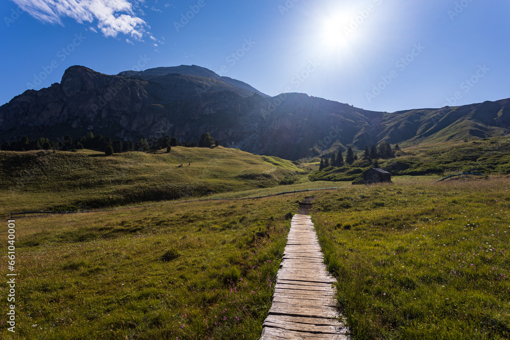 sentiero all'alpe di Siusi sentiero all'alpe di Siusi