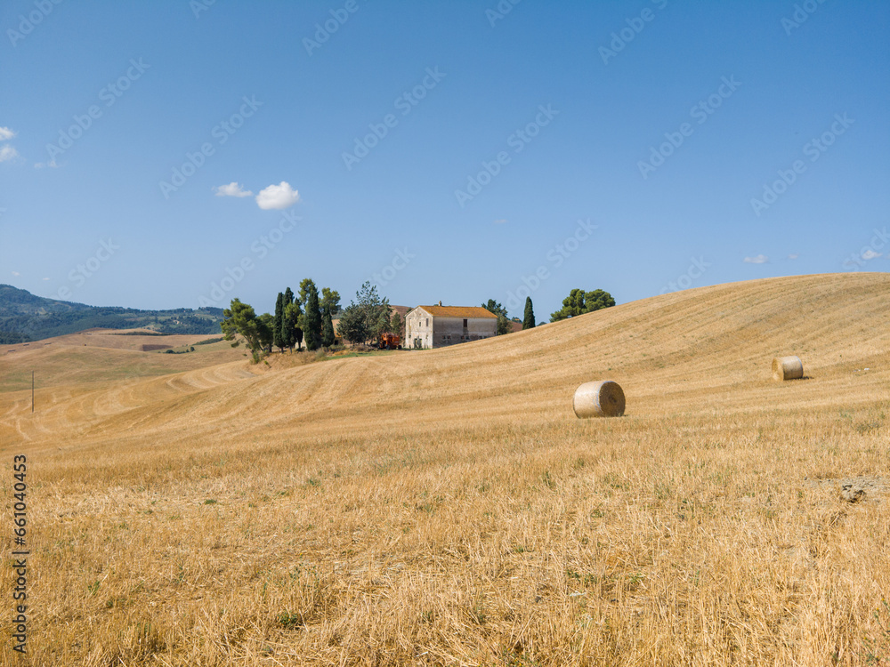 Rural countryside landscape of Tuscany hills. The Tuscany region is characterized by the cultivation of wheat, olives, vineyards and cypress passages.