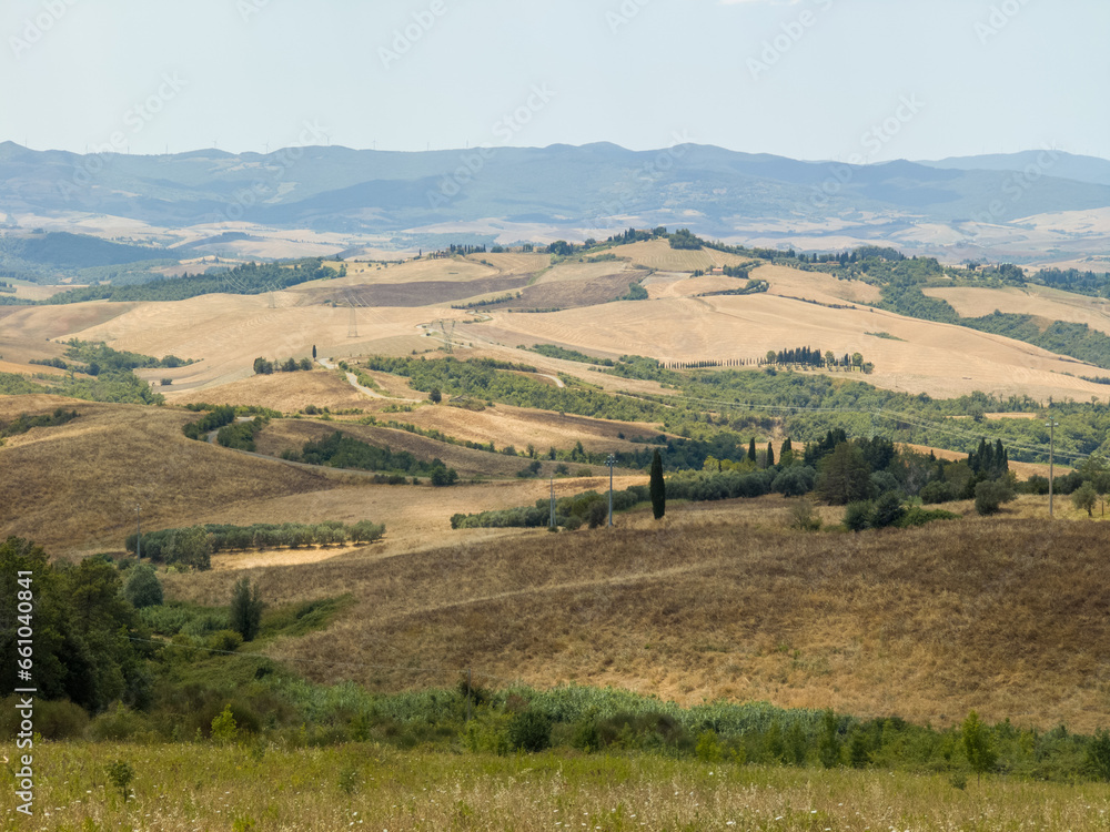 Obraz premium Rural countryside landscape of Tuscany hills. The Tuscany region is characterized by the cultivation of wheat, olives, vineyards and cypress passages.