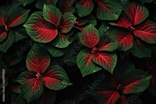 Green and Red Leaves Background