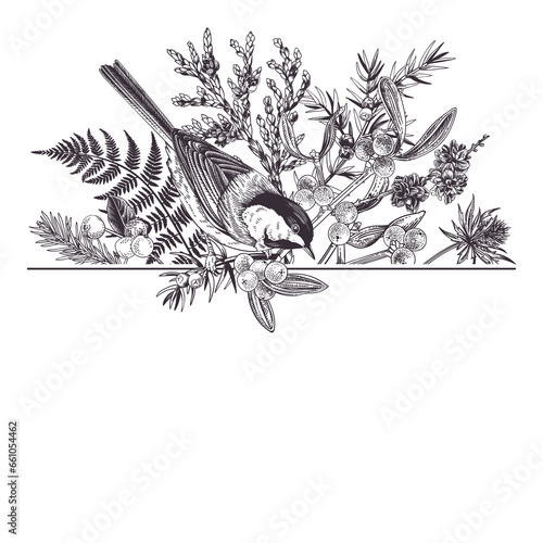 Christmas traditional card with birds and winter plants. Black. Fern, spruce, mistletoe and titmouse. Hand drawn botanical illustration. Outline, no fill. © Lisla