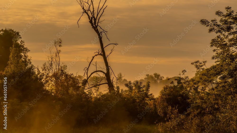 Fototapeta premium Morning fog at sunrise over the Suprasl River in Podlasie.