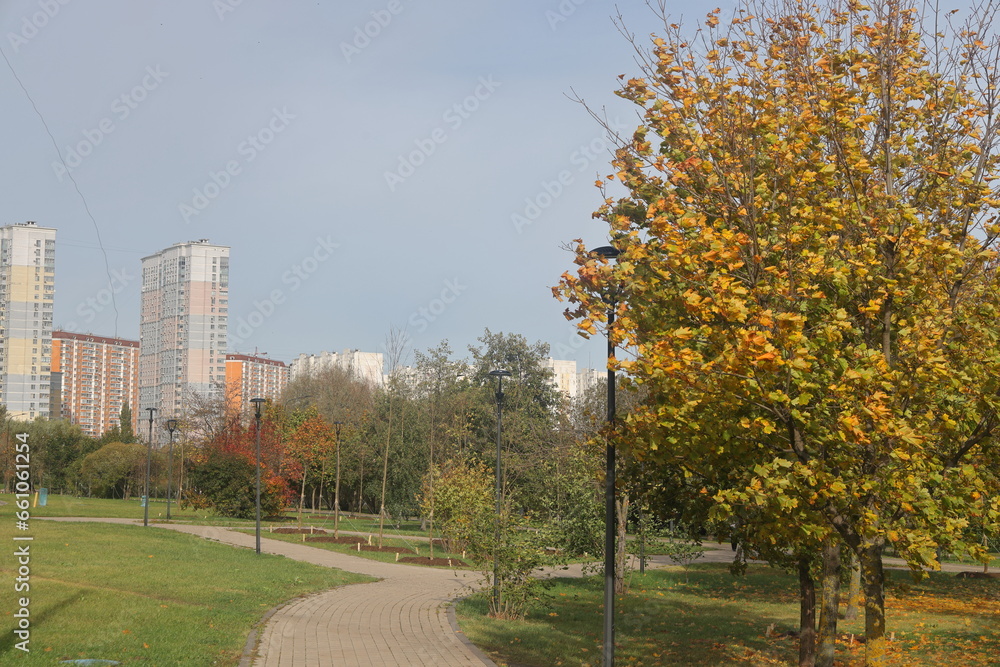 Autumn alley in the city landscape park, Moscow, Yuzhnoye Butovo district.