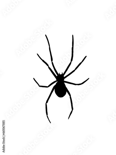 spider on the web halloween © Nanthawan
