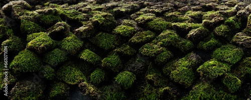 organic mossy building growing out of the ground moire patterns tessellation textures highly detailed octane render ar 329 chaos 20 