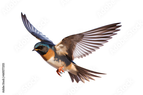 Barn Swallow Flying wings spread, bird, Hirundo rustica, flying against a white Or Transparent background, Generative AI