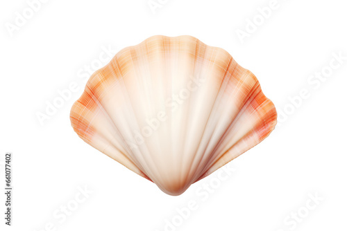A beige shell isolated on a transparent background, Generative AI © MONWARA