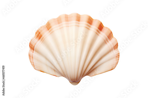 A beige shell isolated on a transparent background, Generative AI
