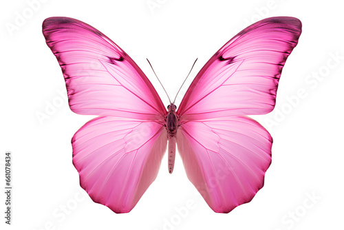 Butterfly, Pink butterfly isolated on a white background, Generative AI © MONWARA