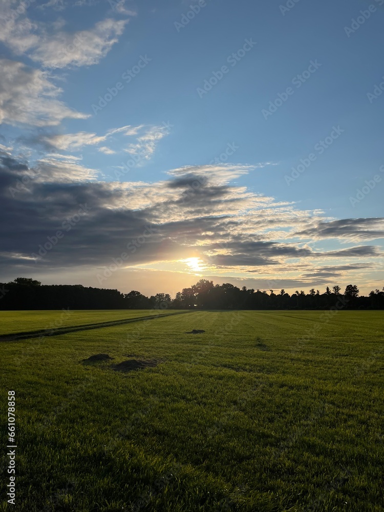 Obraz premium Rural landscape, green fields and meadows of the countryside