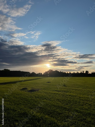 Rural landscape, green fields and meadows of the countryside