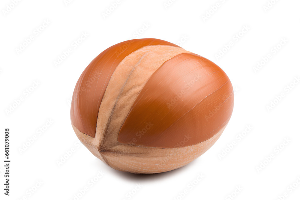 Clean isolated hazelnut on a Transparent or white background, Generative AI Clean isolated hazelnut on a Transparent or white background, Generative AI