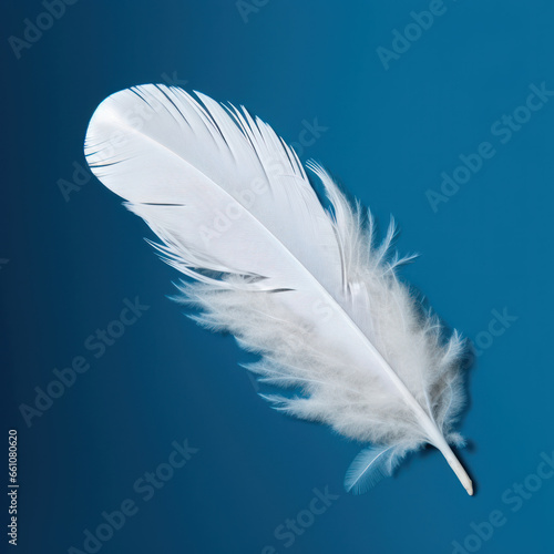  a white feather blue background 