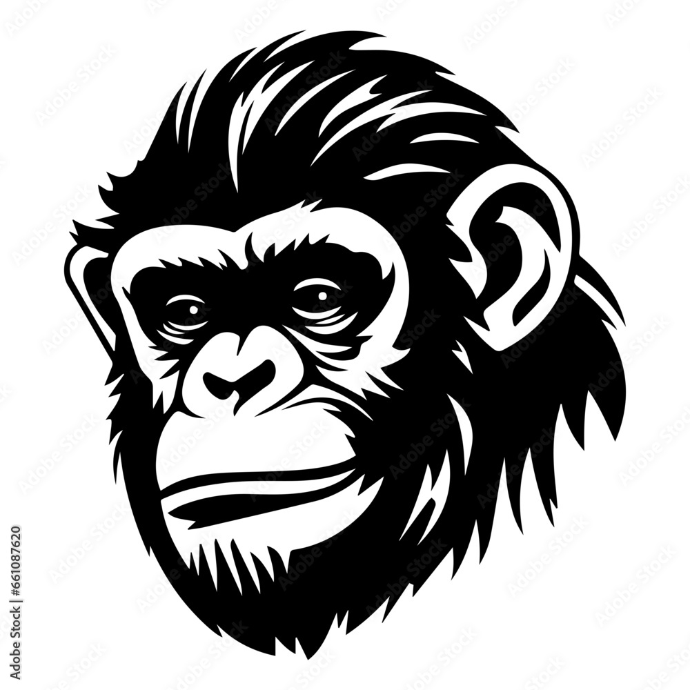 chimpanzee vector drawing. Isolated hand drawn object, engraved style illustration