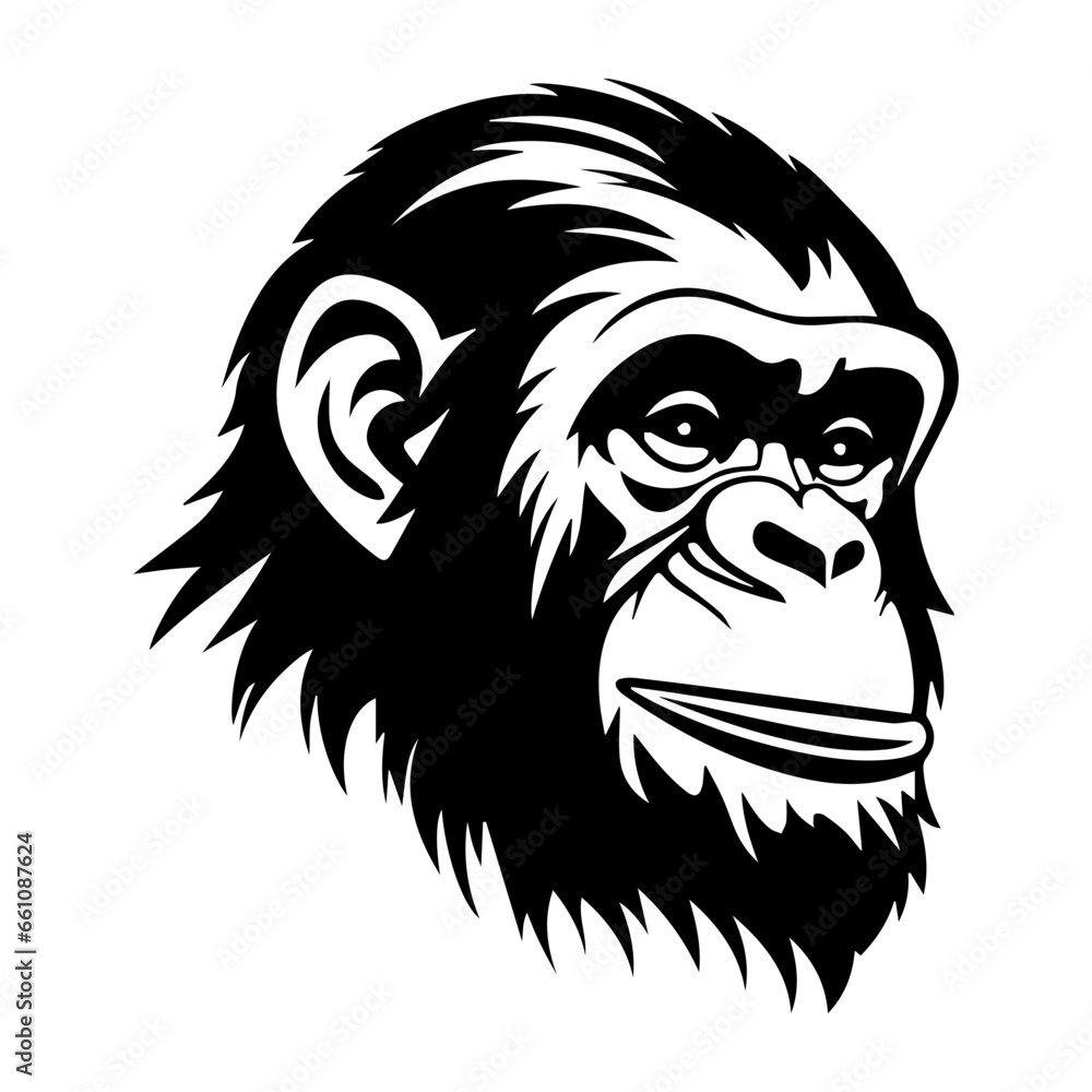 chimpanzee vector drawing. Isolated hand drawn object, engraved style illustration