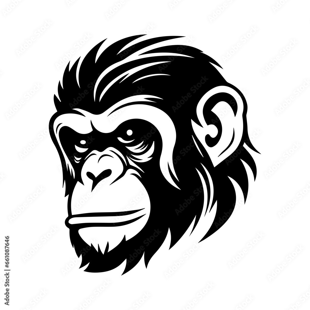 chimpanzee vector drawing. Isolated hand drawn object, engraved style illustration