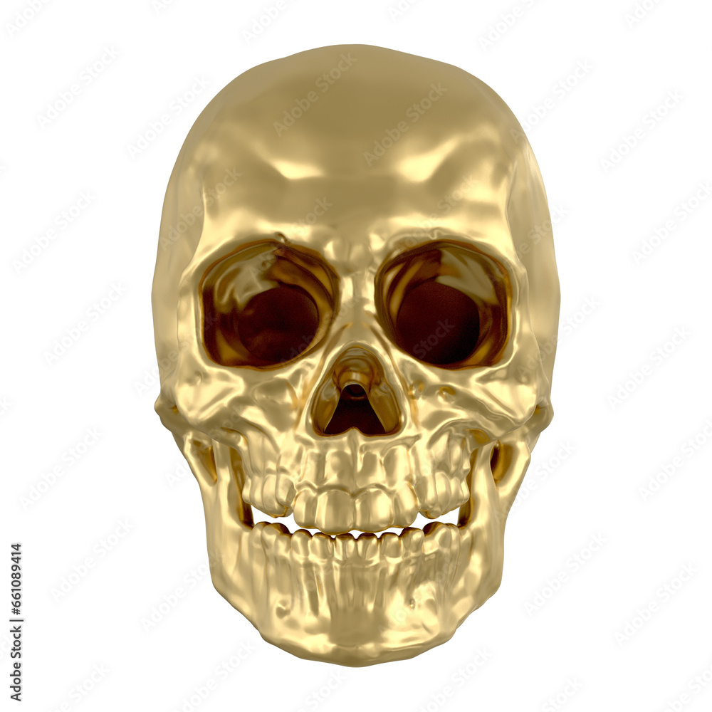 Obraz premium 해골 머리뼈 Skull Skeleton