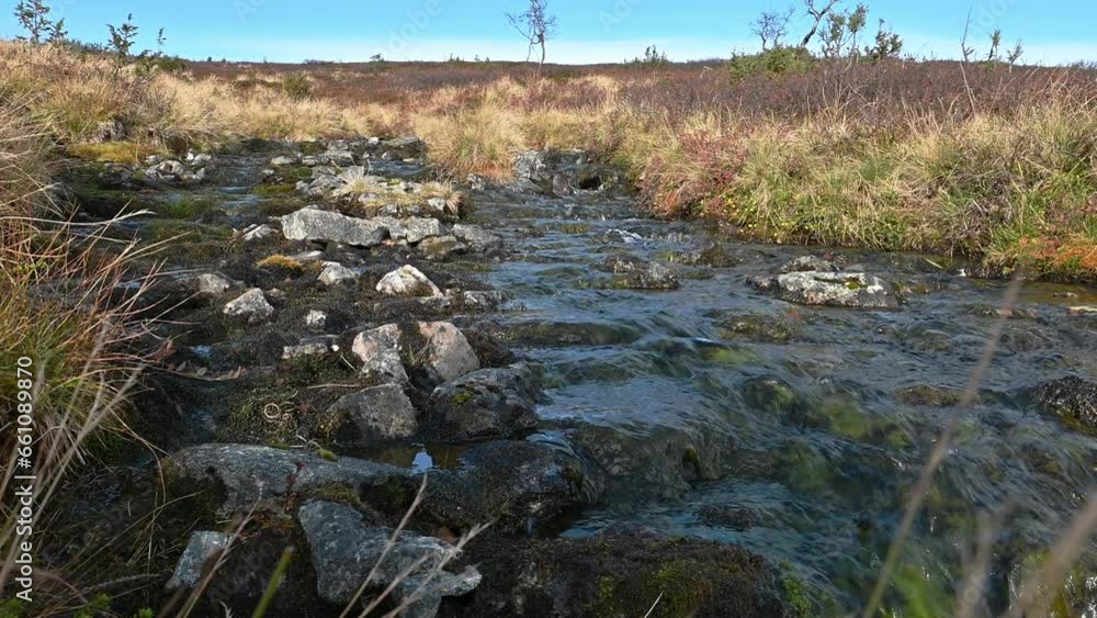 An arctic fell stream in the Strict nature reserves (National Park) An arctic fell stream in the Strict nature reserves (National Park)
