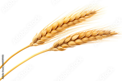 Wheat ear Euclidean isolated on a transparent background, Generative AI