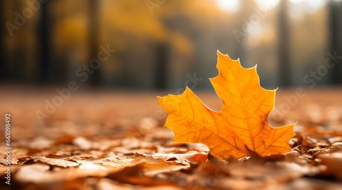 Autumn forest background with Autumn yellow leaf closeup