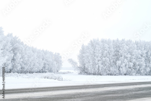 Foggy winter landscape.. Snow covered trees. © Svetlana